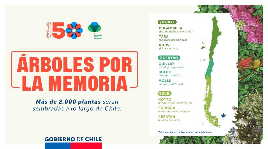 arbolesporla memoria 20julio23