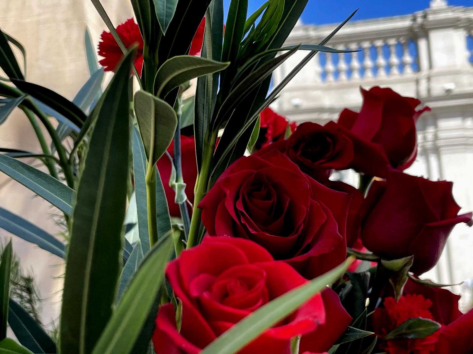 rosasrojasmonumento11septiembre